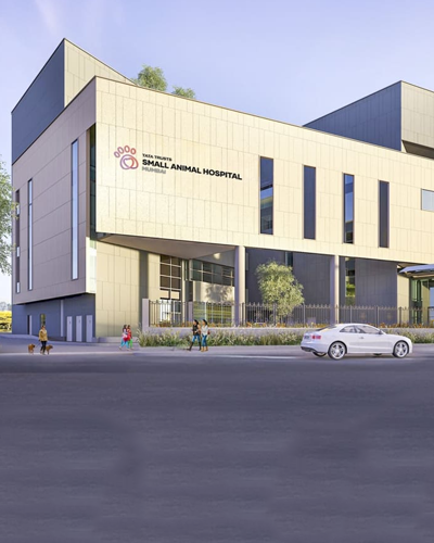 Tata trusts Small animal hospital - Mumbai
